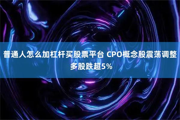 普通人怎么加杠杆买股票平台 CPO概念股震荡调整 多股跌超5%