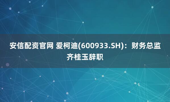安信配资官网 爱柯迪(600933.SH)：财务总监齐桂玉辞职