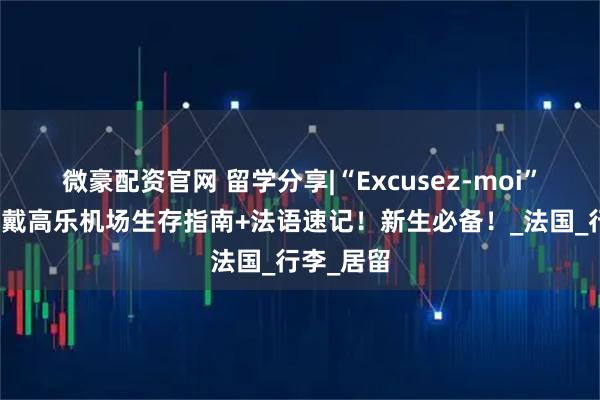 微豪配资官网 留学分享|“Excusez-moi”就够用？戴高乐机场生存指南+法语速记！新生必备！_法国_行李_居留