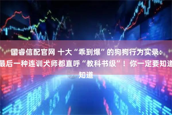 国睿信配官网 十大“乖到爆”的狗狗行为实录：最后一种连训犬师都直呼“教科书级”！你一定要知道